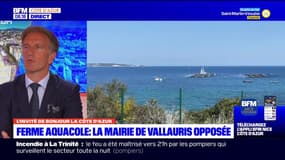 Golfe Juan: le maire Kevin Luciano s'oppose au projet de ferme aquacole