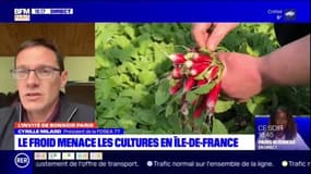 Ile-de-France: la FDSEA inquiète pour les cultures avec l'arrivée du grand froid