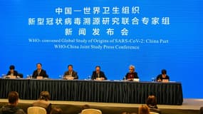 Conférence de presse à l'issue de la visite d'une équipe de l'OMS à Wuhan, en Chine, le 9 février 2021