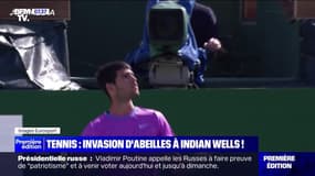 L'image du jour : Tennis, invasion d'abeilles à Indian Wells ! - 15/03