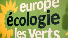 Europe Ecologie-Les Verts se divise sur la forme de son opposition au Traité européen