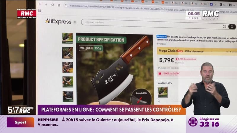 Plateformes en ligne : comment se passent les contrôles ?