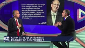 BFM Stratégie: (Cours 74) Raison d'être des entreprises, pourquoi faut-il un pourquoi ? - 06/07