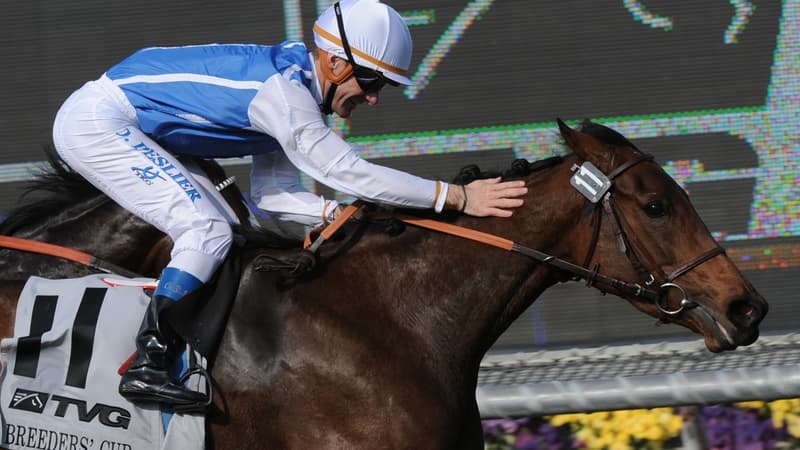 Goldikova a marqué l'histoire des courses