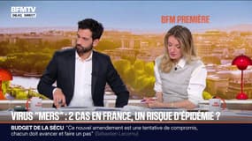SIGNÉ BFM - Qu'est-ce que le virus "mers", qui a touché deux personnes en France?