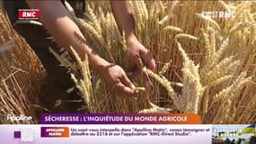 La sécheresse précoce inquiète les agriculteurs pour leurs récoltes