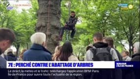 Paris: un militant s'accroche à un arbre près de la tour Eiffel contre le projet de réaménagement