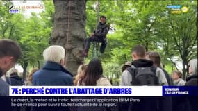 Paris: un militant s'accroche à un arbre près de la tour Eiffel contre le projet de réaménagement