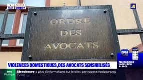 Violences domestiques: des avocats sensibilisés à Strasbourg