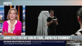 Harry Potter fait son retour... enfin pas vraiment ! - 06/01