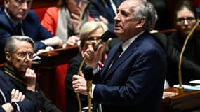 François Bayrou lors des questions au gouvernement à l'Assemblée nationale, le 18 février 2025.