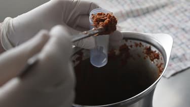 Analyse d'un échantillon de viande dans un laboratoire. La France est le pays de l'Union européenne le plus touché par la présence de viande de cheval dans des produits censés contenir uniquement du boeuf, montrent les premiers résultats des tests ADN ord