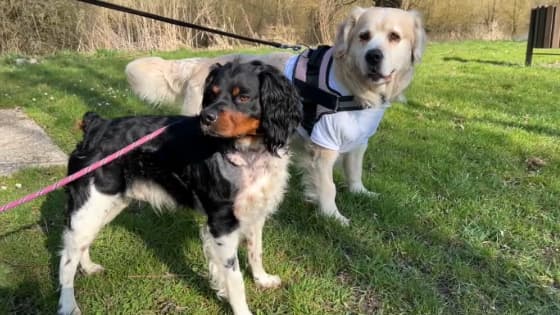 Nouki et Tyrex sont aujourd'hui sauvés.