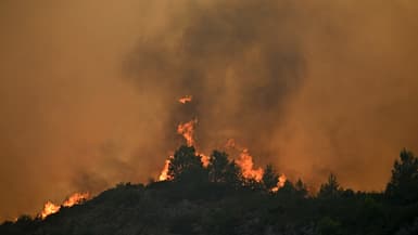 Un incendie près de Fontjoncouse (Aude) en cours le mercredi 6 août 2025.
