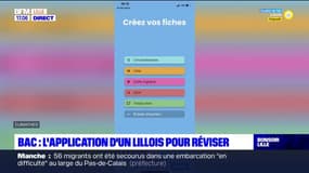 Bac: un lycéen lillois crée une application pour faciliter les révisions