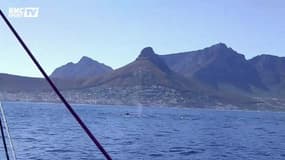 Vendée Globe - Les skippers donnent de leurs nouvelles après 21 jours de course