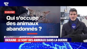 BFMTV répond à vos questions : Les prix dans le bâtiment flambent - 10/03