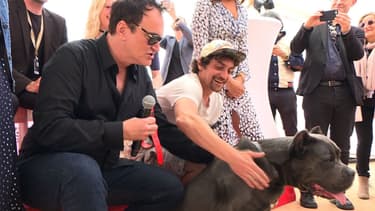 Quentin Tarantino à Cannes durant la remise de la "Palm Dog"