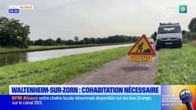 Pêcheurs, piétons, cyclistes... À Waltenheim-sur-Zorn, une cohabitation difficile à gérer