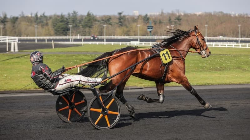 Jabalpur crée la surprise dans le Prix René Ballière