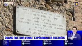 Alpes-de-Haute-Provence: quand Louis Pasteur venait expérimenter aux Mées