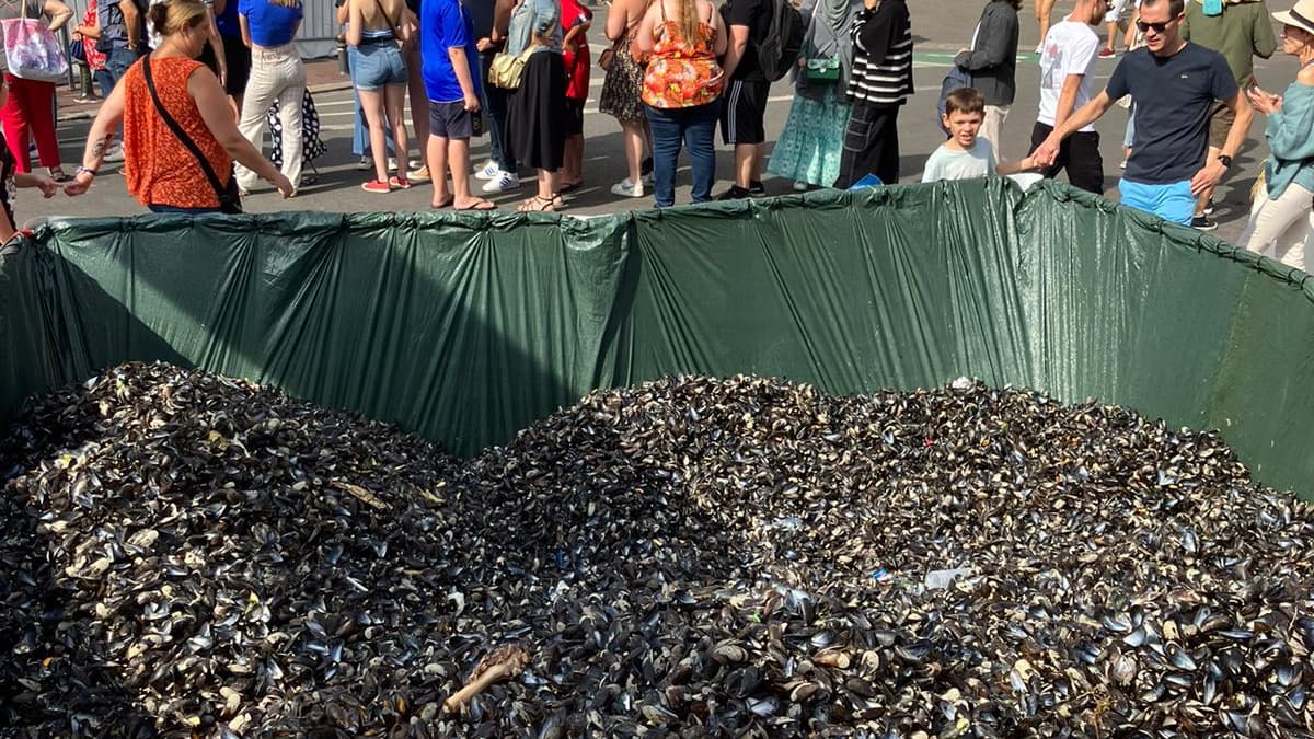Le tas de moules lors de la Braderie de Lille, le dimanche 3 septembre Le tas de moules lors de la Braderie de Lille, le dimanche 3 septembre