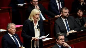 La cheffe de file des députés Rassemblement national à l'Assemblée nationale, Marine Le Pen.