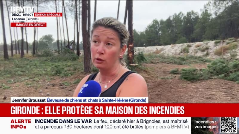 Incendie en Gironde: les débardeur forestier commencent à retirer des arbres sur des exploitations agricoles pour faire des pare-feux géants