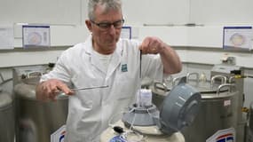 Un technicien prépare des paillettes de sperme congelé dans l'azote liquide au Centre d'étude et de conservation des œufs et du sperme humains (CECOS) du CHU de Rennes, le 12 mars 2024