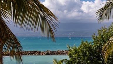 Vue sur la mer à travers des palmiers avec un voilier par temps clair à Pointe-à-Pitre, en Guadeloupe, le 23 janvier 2023.