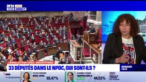 Nord-Pas-de-Calais: qui sont les 33 nouveaux députés?