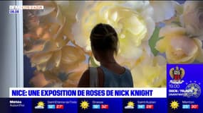 Nice: une exposition de roses de Nick Knight
