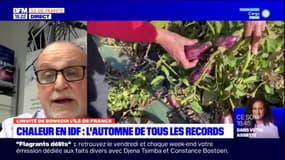 Chaleur en Île-de-France: "le monde agricole est impacté"