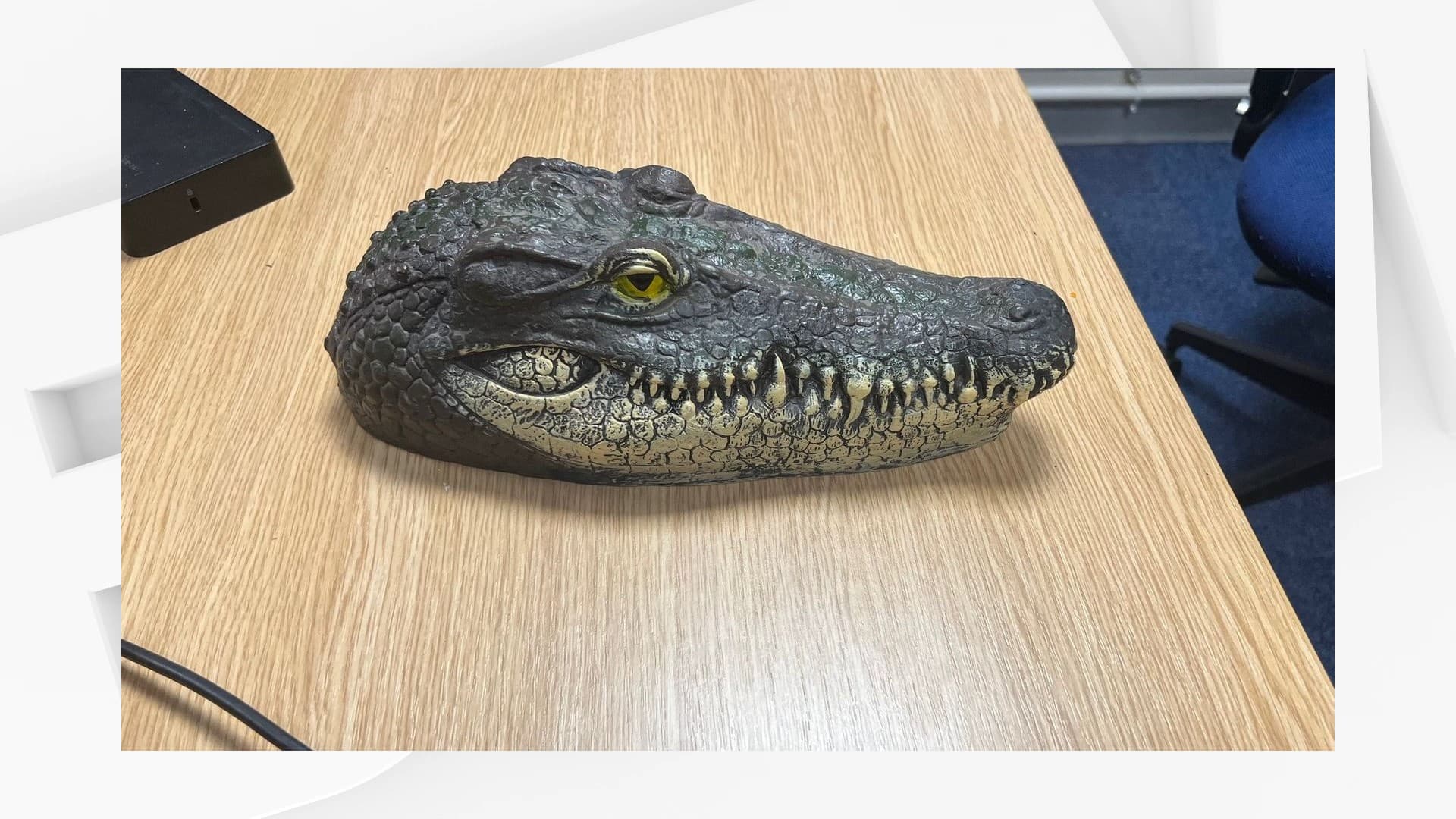 La tête de crocodile en plastique trouvée dans un cours d'eau du sud de l'Angleterre par la police britannique. La tête de crocodile en plastique trouvée dans un cours d'eau du sud de l'Angleterre par la police britannique.