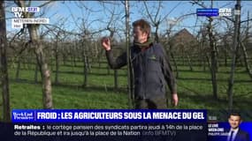 Ces exploitants agricoles redoutent le retour du froid alors que certains arbres fruitiers bourgeonnent déjà