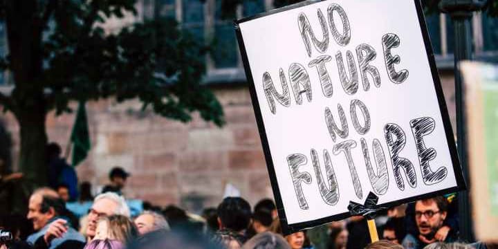 Manifestation en faveur de la lutte pour l'environnement