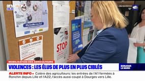 Les élus du Nord de plus en plus ciblés par les violences