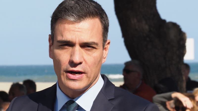 Pedro Sanchez le 24 février 2019 à Argelès-sur-Mer.