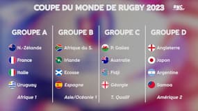 Mondial rugby 2023 : La Géorgie et l'Espagne qualifiées, le point sur les barrages