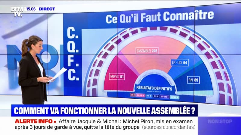 Comment va fonctionner la nouvelle Assemblée nationale ?