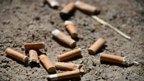 Le jet de mégot est explicitement inclus parmi les causes d'incendie involontaire sanctionnables pénalement dans le texte en discussion à l'Assemblée