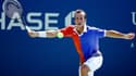 Radek Stepanek