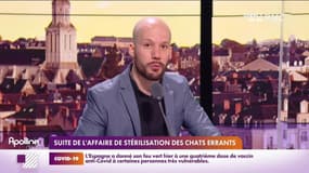 RMC s’engage pour vous : Suite de l'affaire de stérilisation des chats errants - 14/01