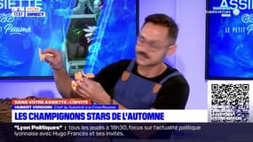 Dans votre assiette du jeudi 13 octobre - Les champignons, stars de l’automne