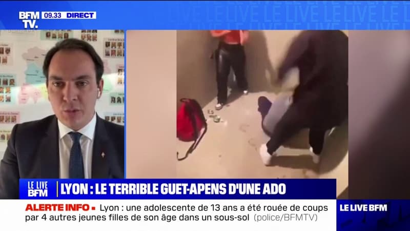 Ado rouée de coups à Lyon: le 9e arrondissement 