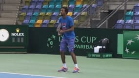 Open d'Australie - Monfils la bonne année ?