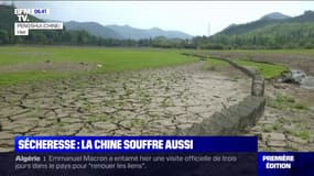 Frappée par une canicule inédite, la Chine craint pour ses récoltes