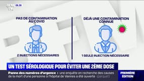 Covid-19: vers un test sérologique rapide avant la première dose de vaccin