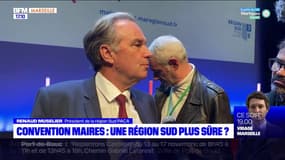 Convention des maires: la sécurité, une priorité en Provence-Alpes-Côte d'Azur