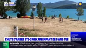 Sainte-Croix-du-Verdon: enquête ouverte après la mort d'un enfant par la chute d'un arbre